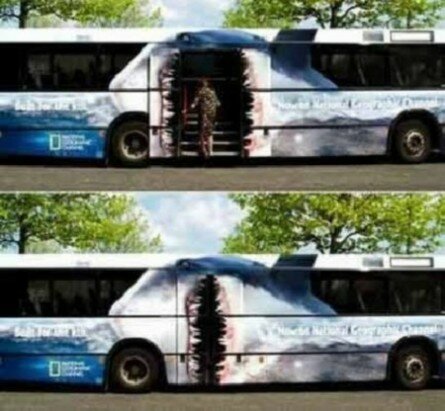 The Shark Bus