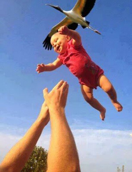 And the Stork deliveres the Baby