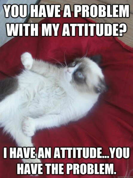 Attitude Issues