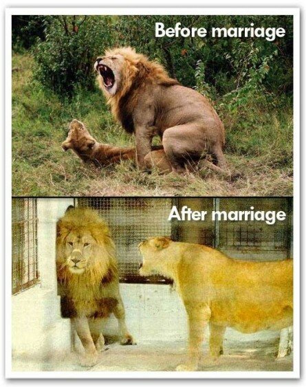 Before and After Marriage