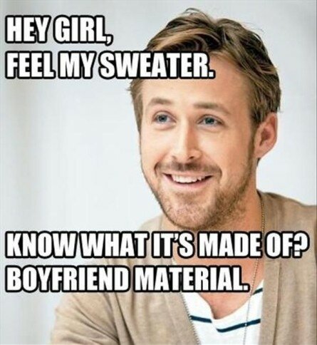 Ryan Gosling, Boyfriend material