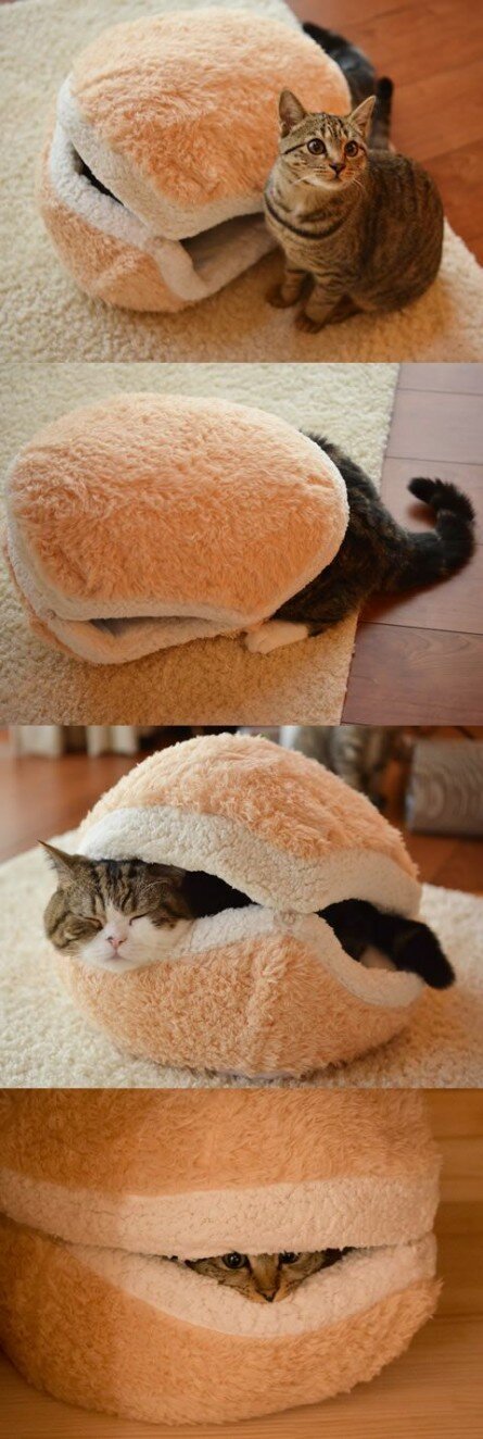 Catburger