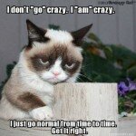 Crazy Grumpy Cat