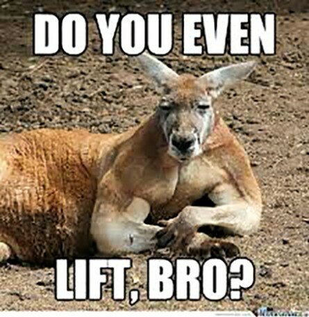 Do you even lift, bro?