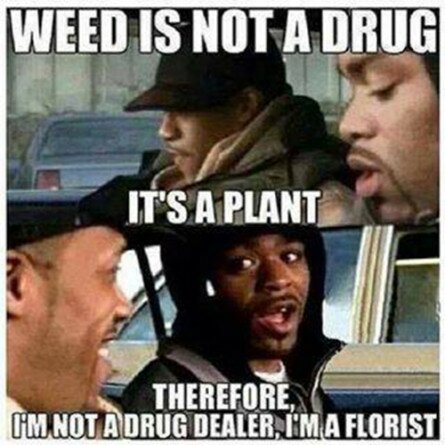 Florist, Not Drug Dealer