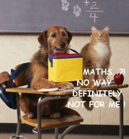 Funny cat and dog at school