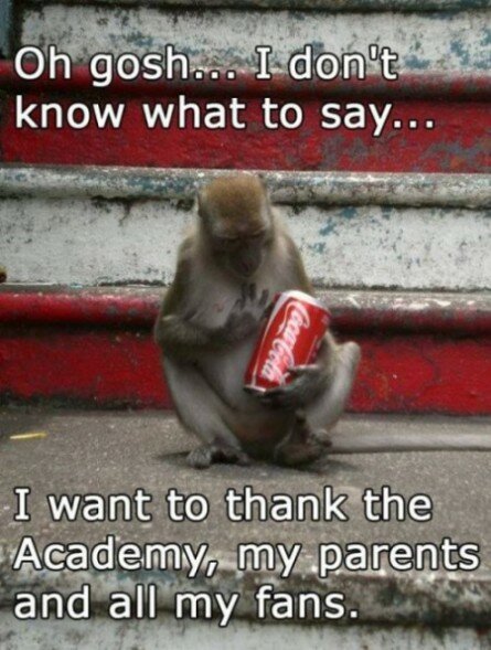 A Monkey Checking Out a Coke Can