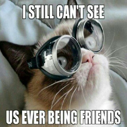 Grumpy Cat “Can’t see us being friends”