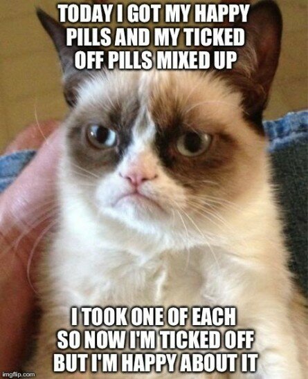 Grumpy Cat Ticked off but happy about it