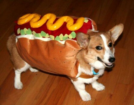 Hot Dog for Halloween