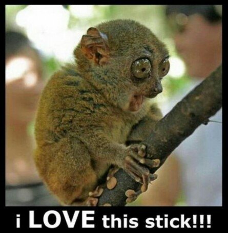 I love this stick