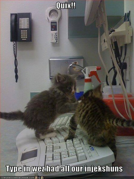 Kittens on keyboard changing medical records