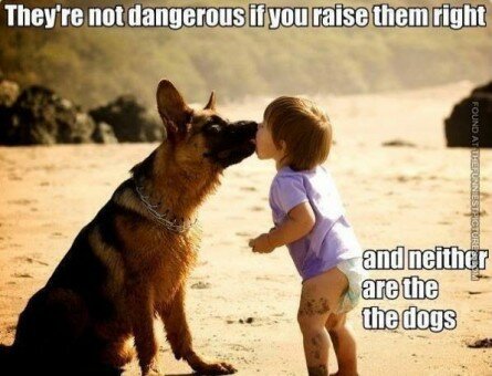 Not dangerous if you raise them right