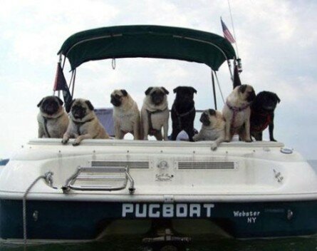 PUGBOAT