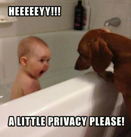 Privacy Needed