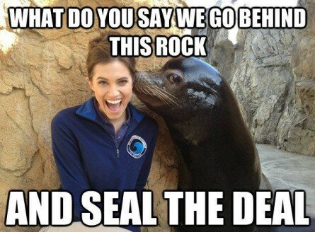 Seal the deal