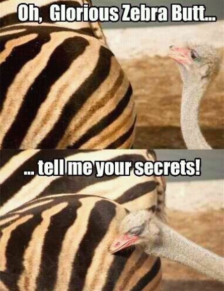 Secrets…