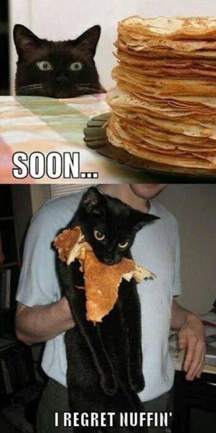 Pancakes Thief