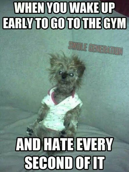 Too early to Workout