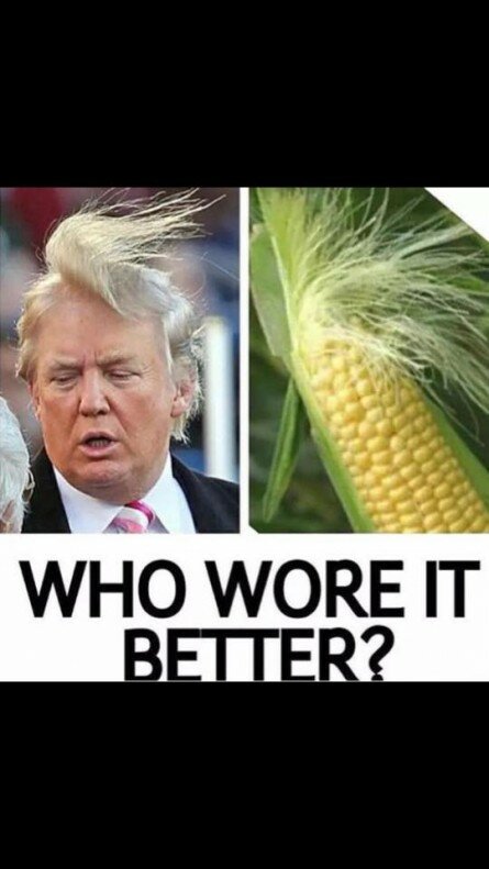 Who wore it better?! Donald Trump or the Corn