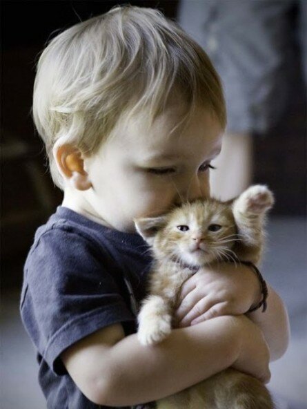 Cute kid and kitten image