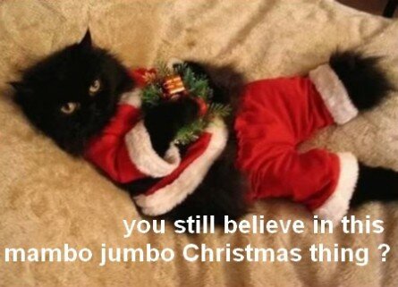 Funny cat in Santa costume