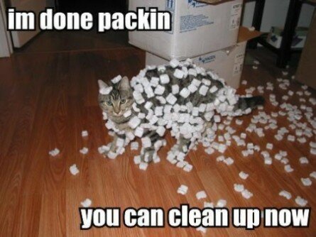 Cat making a mess