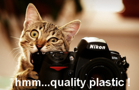 Funny cat with DSLR camera