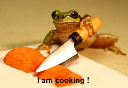 Funny frog cutting carrots