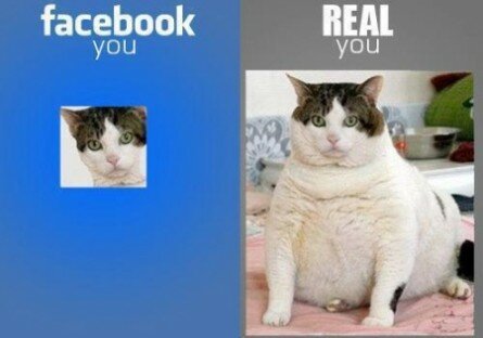 The Reality of Facebook Profile Pictures