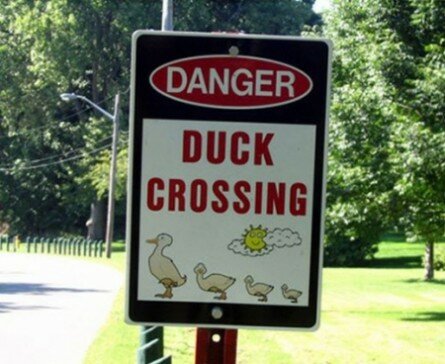 Funny road sign