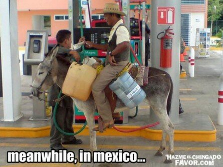 meanwhile, in Mexico… Donkey needs gas refill