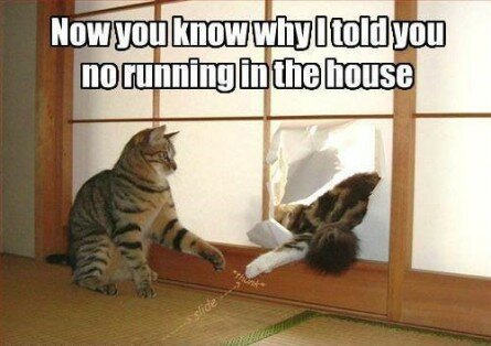 No running in the house